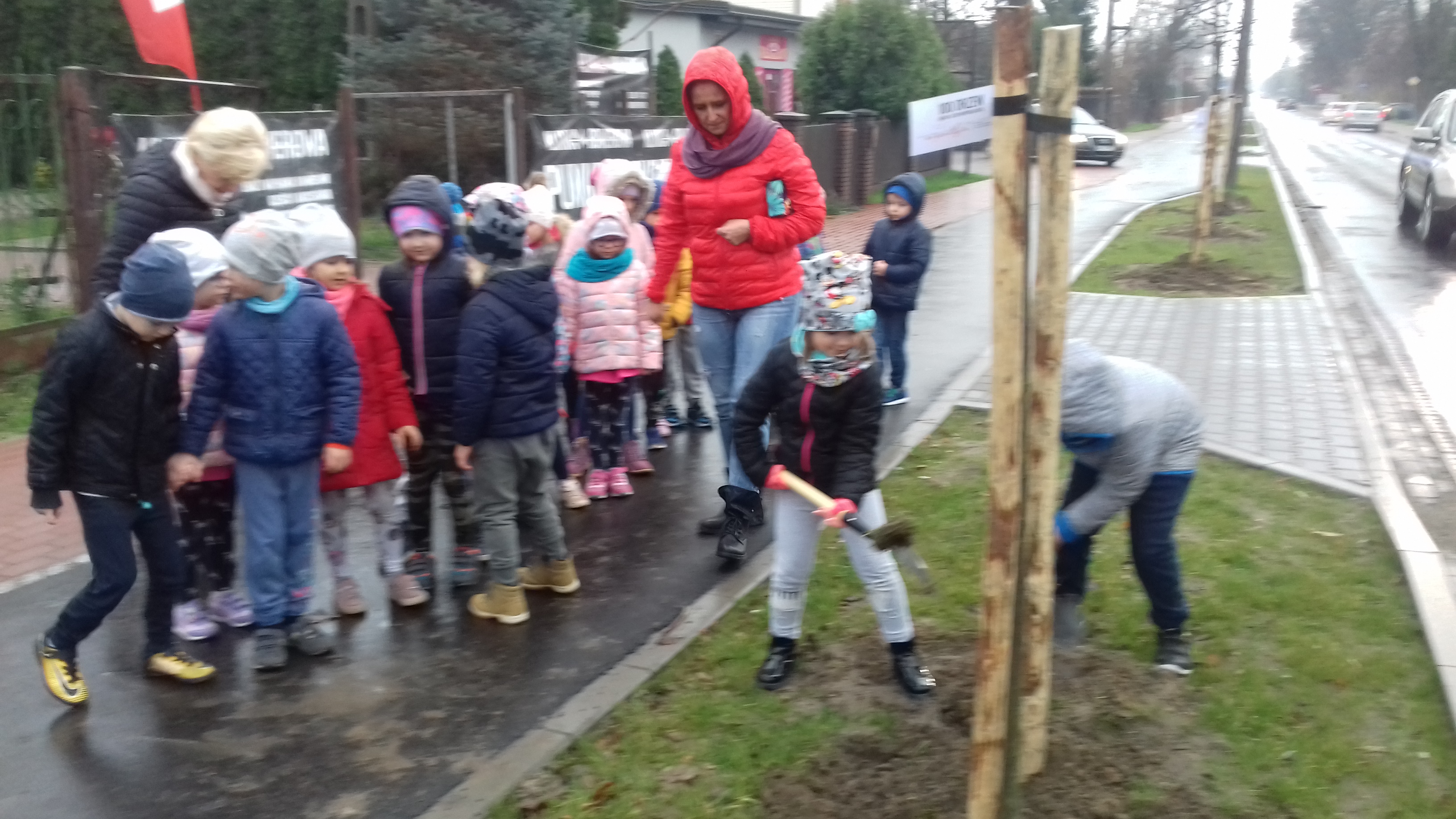 100 drzew na 100-lecie Odzyskania Niepodległości.